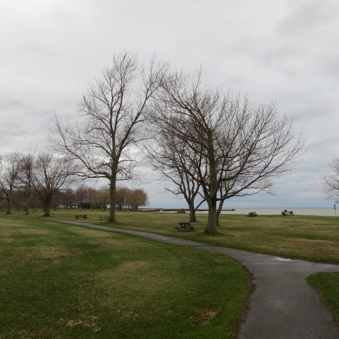 Hamlin Beach State Park on Lake Ontario  8 of 9 (#5956)