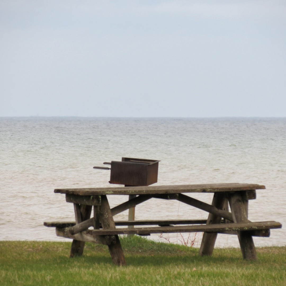 Hamlin Beach State Park on Lake Ontario  9 of 9 (#5957)