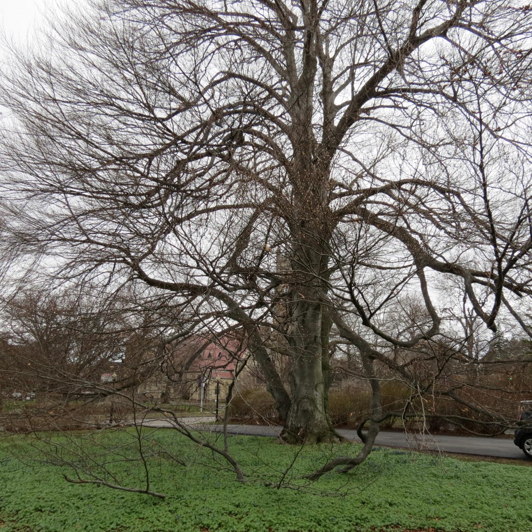 George Eastman Home in Rochester NY  6 of 6 (#5962)