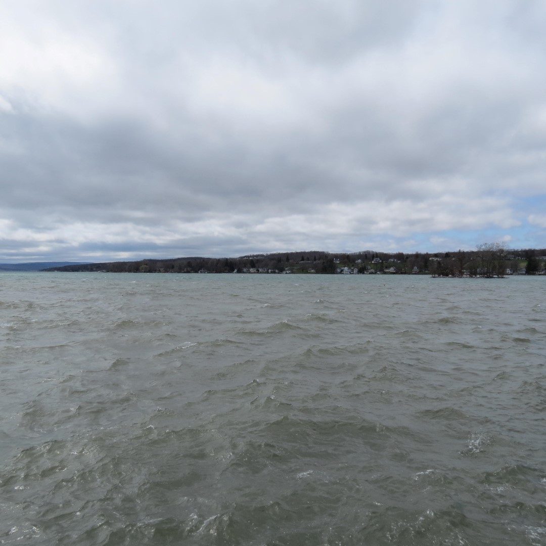 Canandaigua Lake in Canandaigua NY  6 of 11 (#6001)