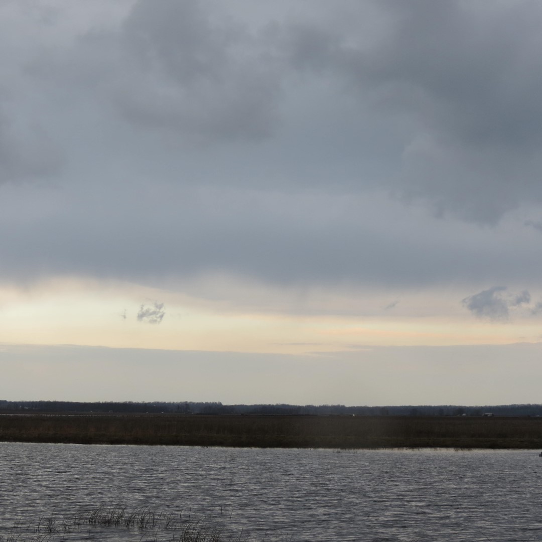 Montezuma National Wildlife Refuge near Seneca Falls NY 12 of 17 (#6029)
