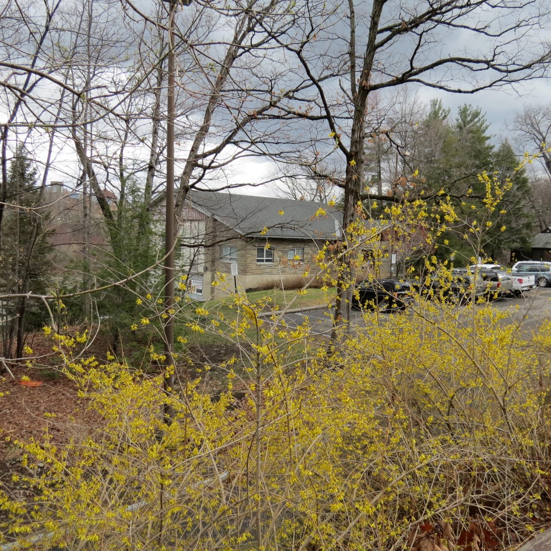 Cornell University in Ithaca NY  4 of 14 (#6043)