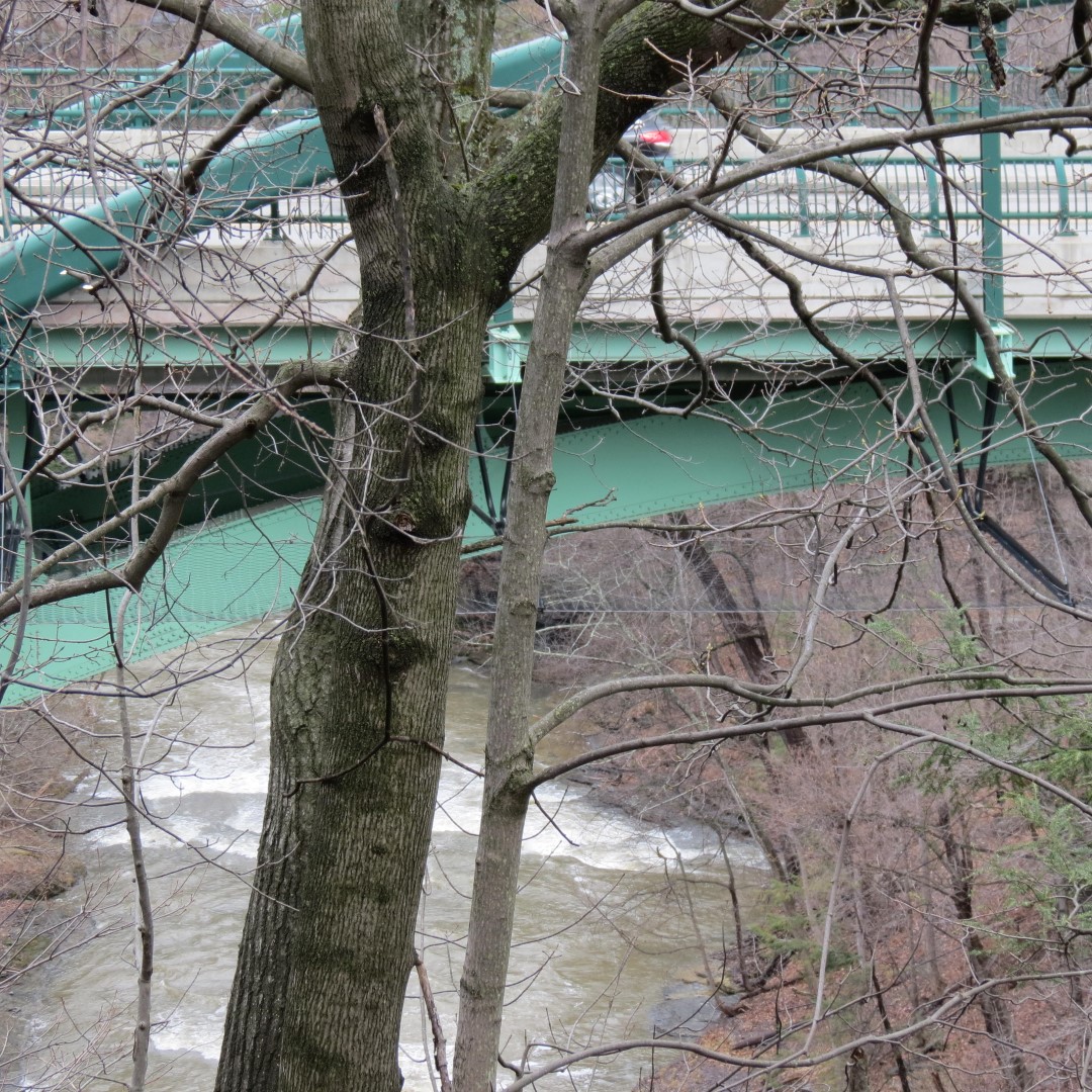 Cornell University in Ithaca NY  5 of 14 (#6044)