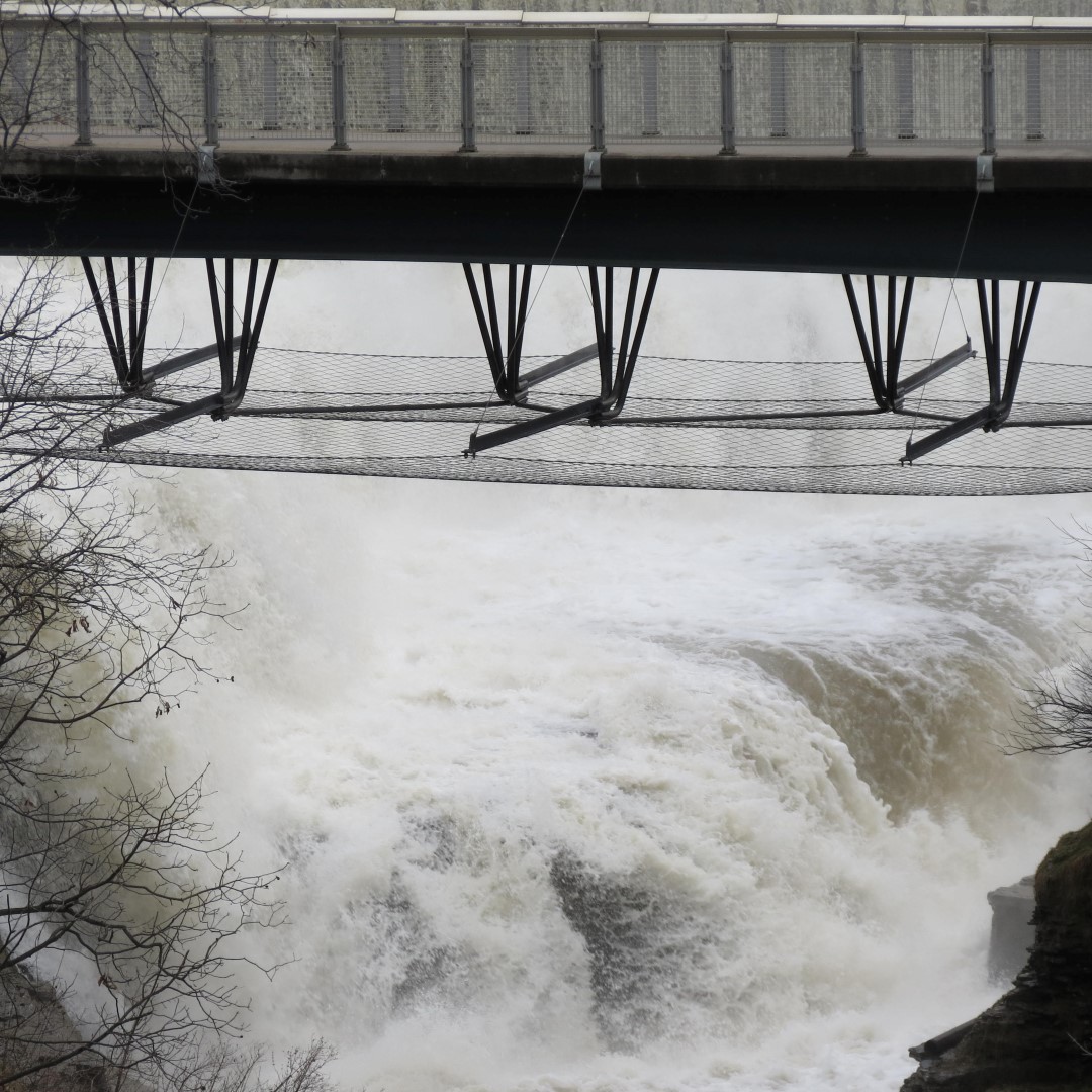 Cornell University in Ithaca NY  8 of 14 (#6047)