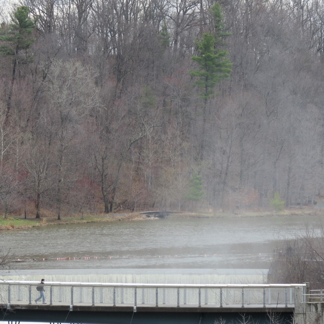 Cornell University in Ithaca NY  9 of 14 (#6048)