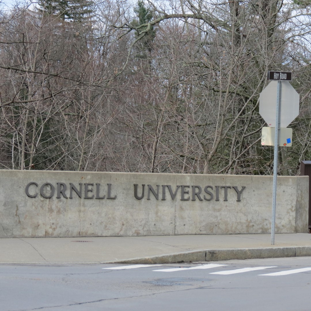 Cornell University in Ithaca NY  1 of 14 (#6053)