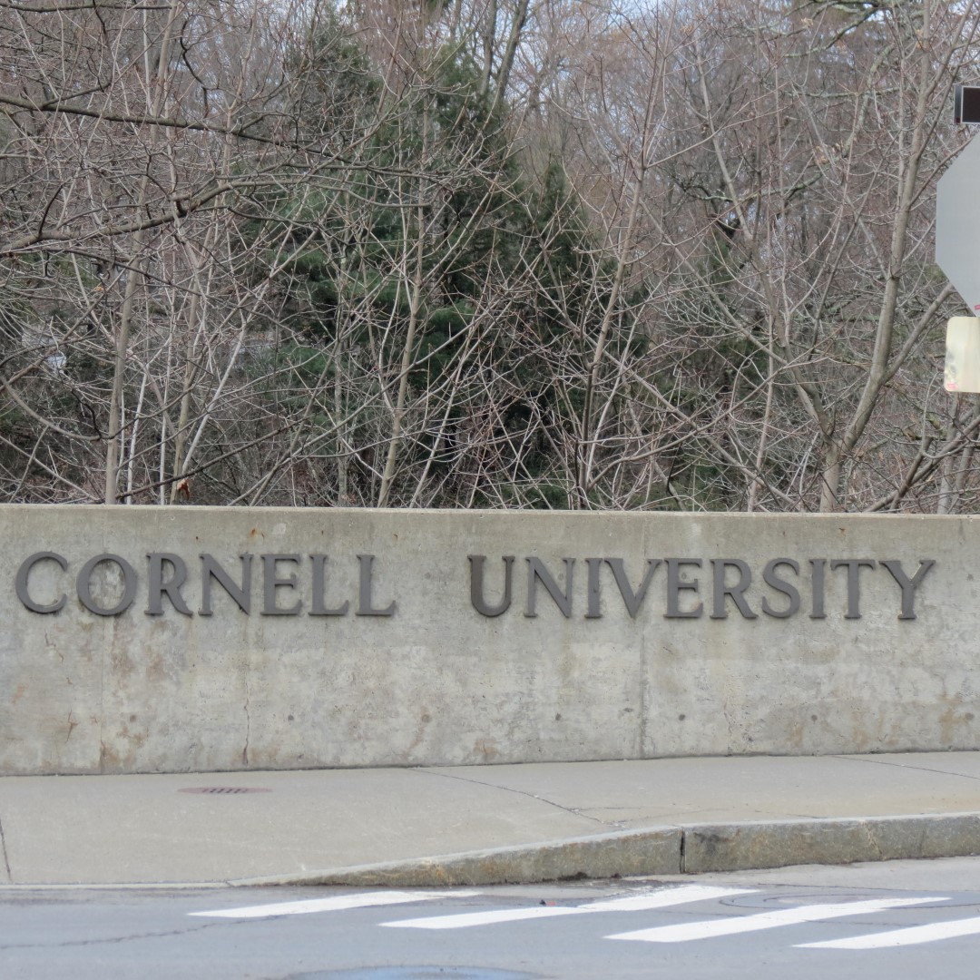 Cornell University in Ithaca NY  2 of 14 (#6054)