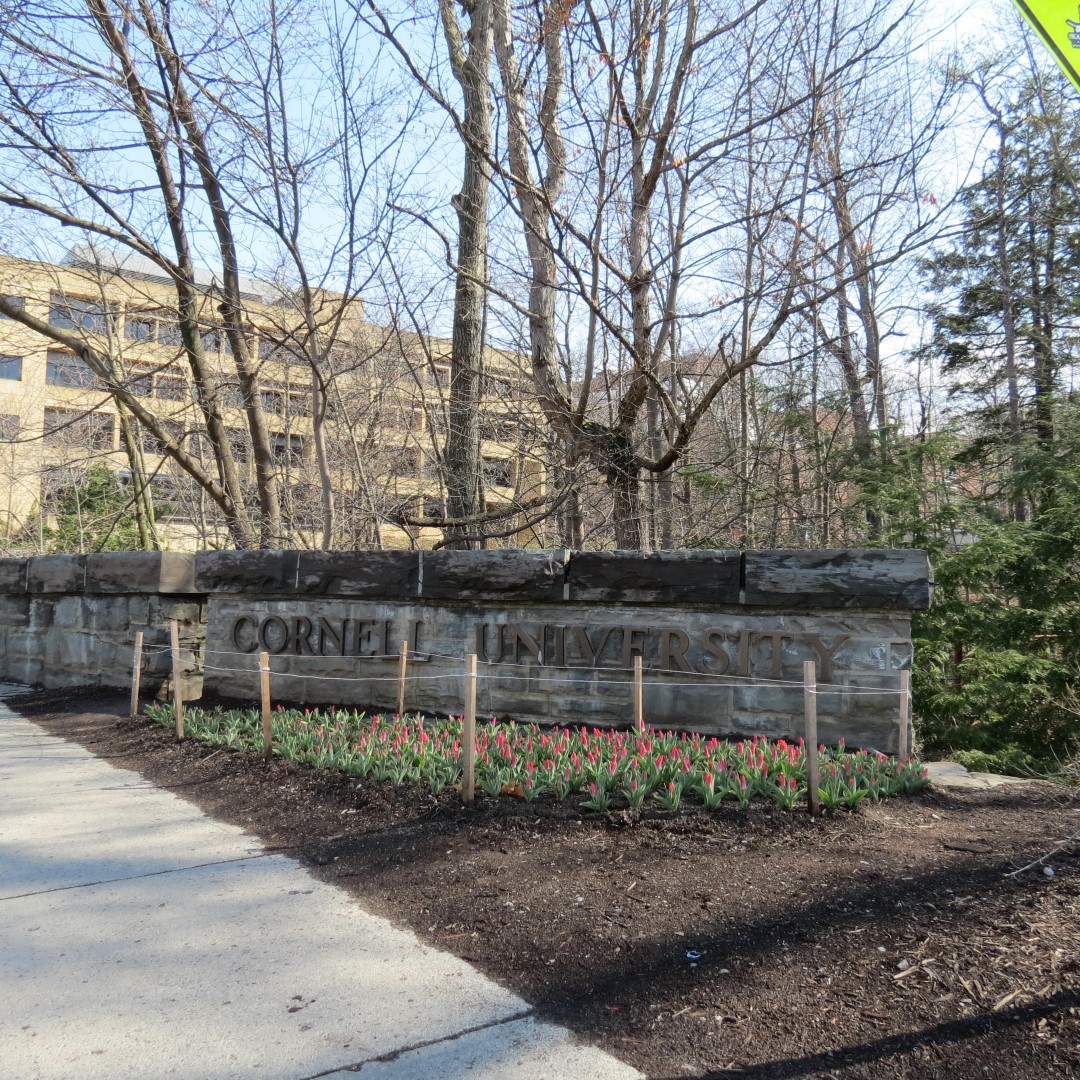 Cornell University in Ithaca NY  3 of 14 (#6055)