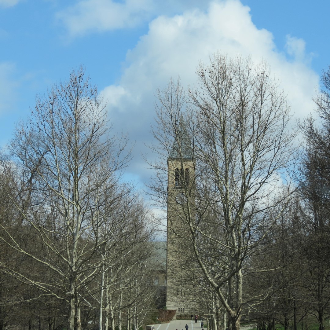 Cornell University in Ithaca NY 14 of 14 (#6056)