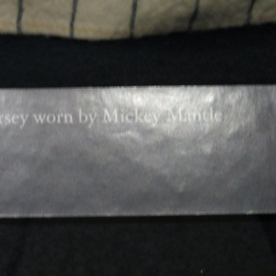 Major League Baseball Hall of Fame in Cooperstown NY 46 of 48 (#6080)