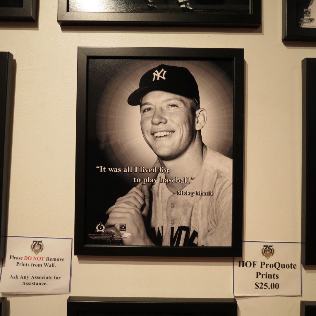 Major League Baseball Hall of Fame in Cooperstown NY 44 of 48 (#6104)
