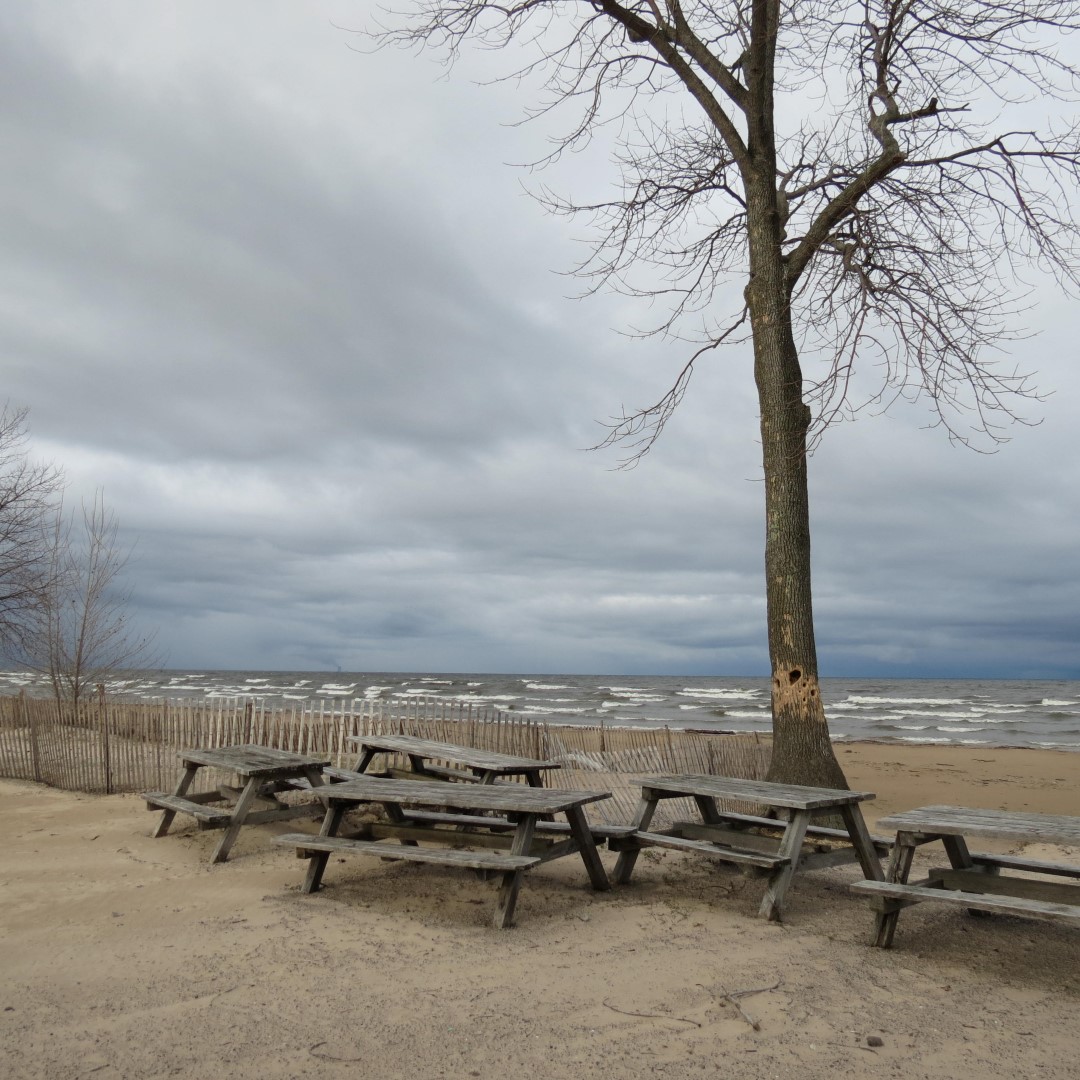 Southwick Beach south of Henderson NY  3 of 8 (#6182)