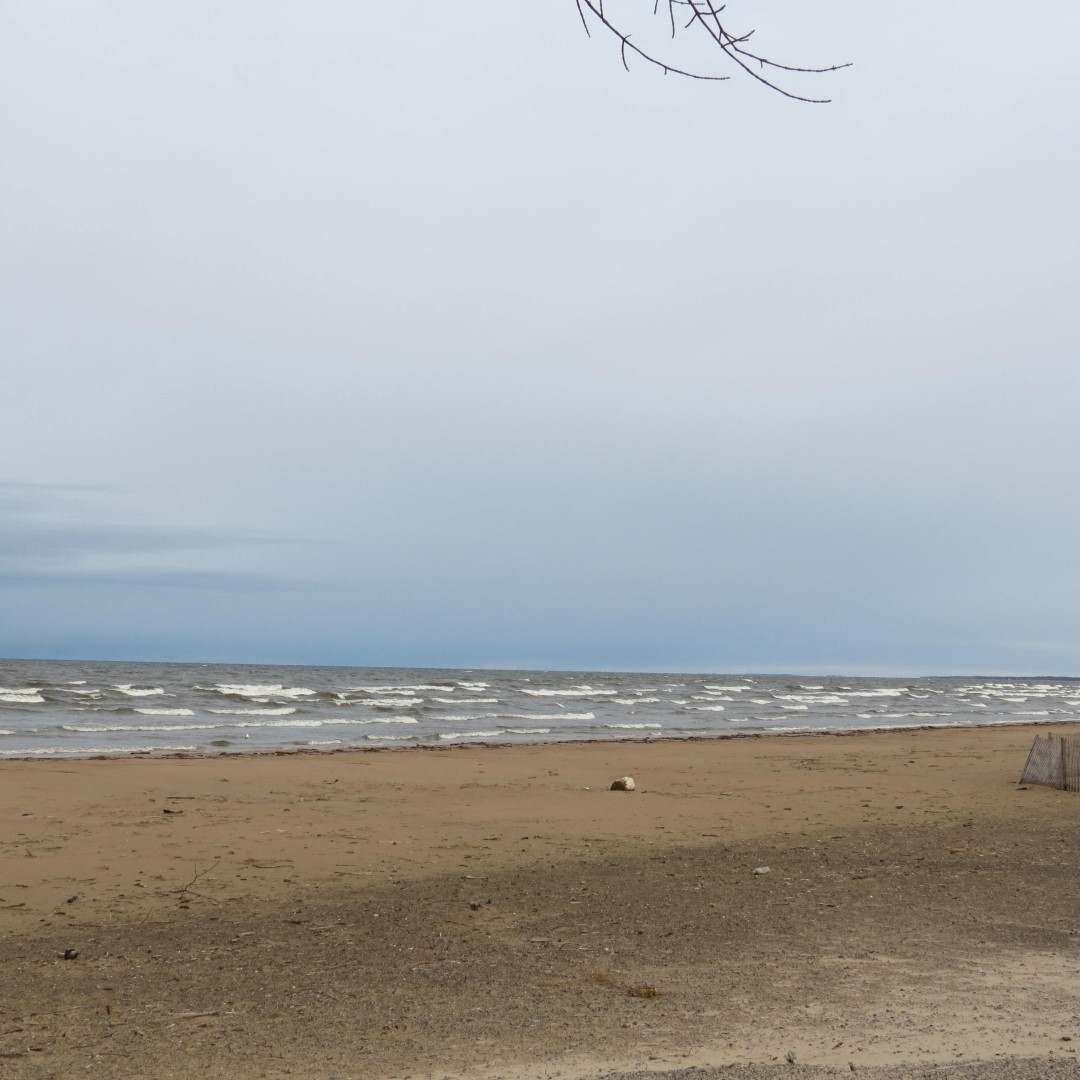 Southwick Beach south of Henderson NY  4 of 8 (#6183)