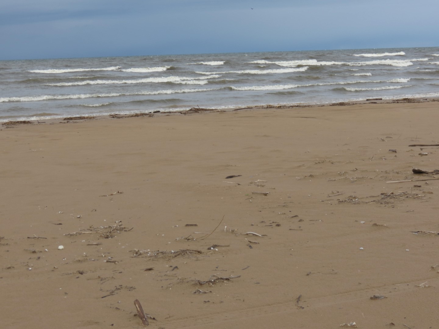 Southwick Beach south of Henderson NY  7 of 8 (#6186)