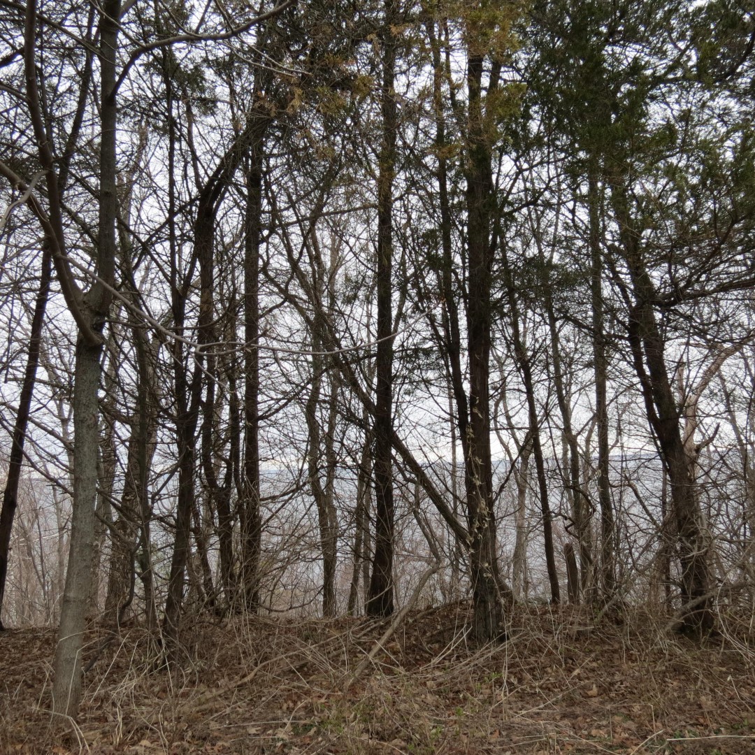 Robert Wehle State Park near Henderson NY  4 of 6 (#6191)