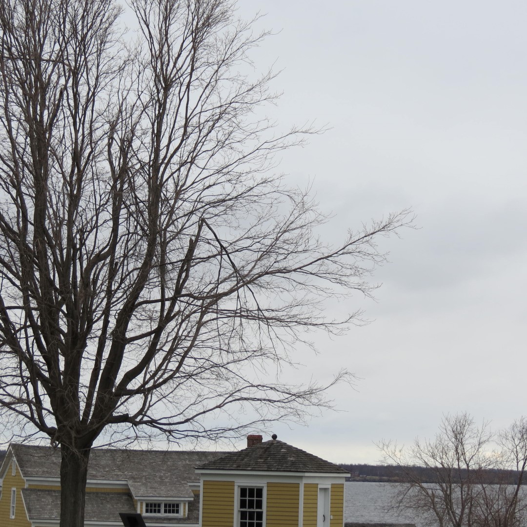 Sackets Harbor Battlefield Site in Sackets Harbor NY  5 of 9 (#6199)