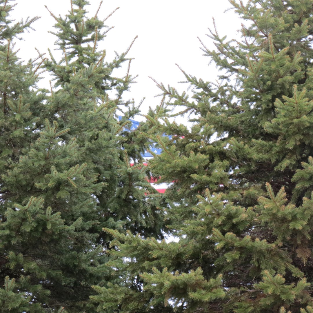 Sites around the town of Sackets Harbor NY  2 of 9 (#6205)