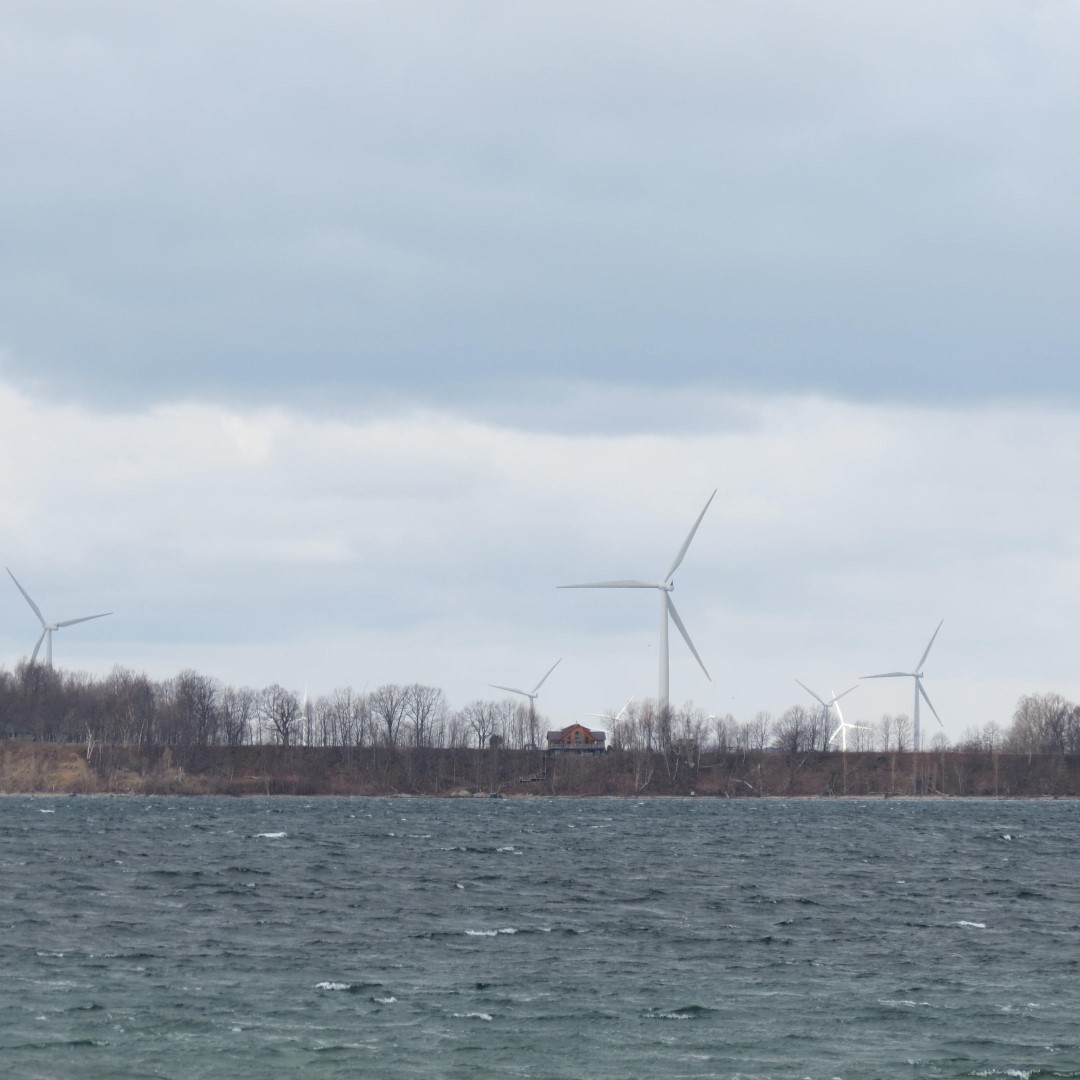 St Lawrence River near Cape Vincent NY  4 of 7 (#6219)