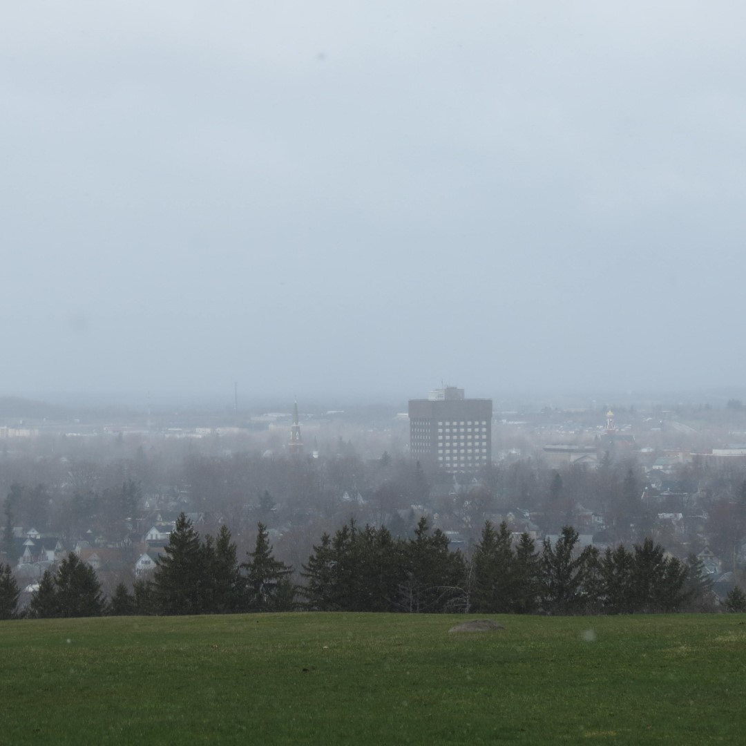 Thompson Park in Watertown NY  4 of 6 (#6246)