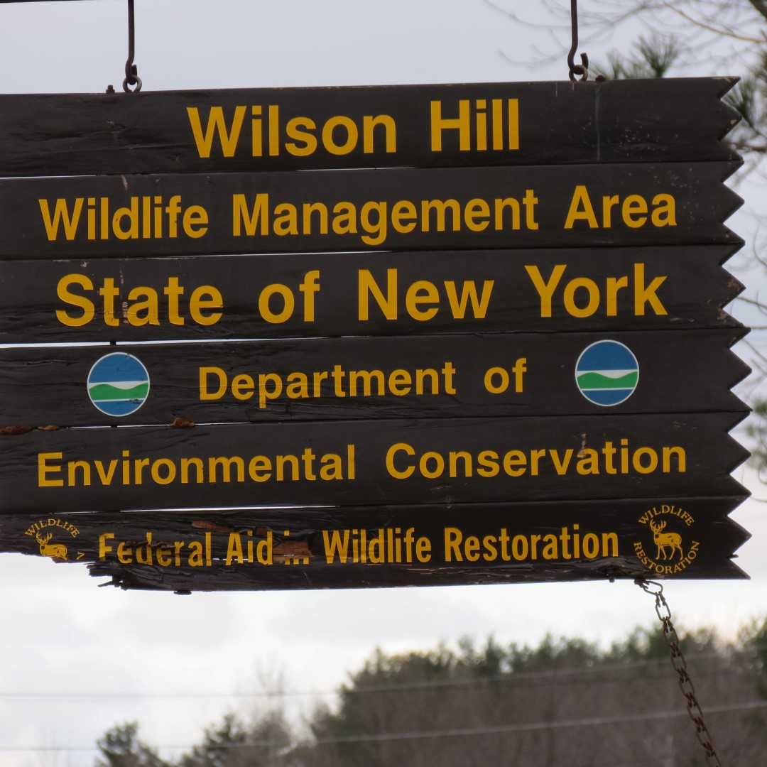 Wilson Hill Boat Launch near Massena NY  2 of 2 (#6253)