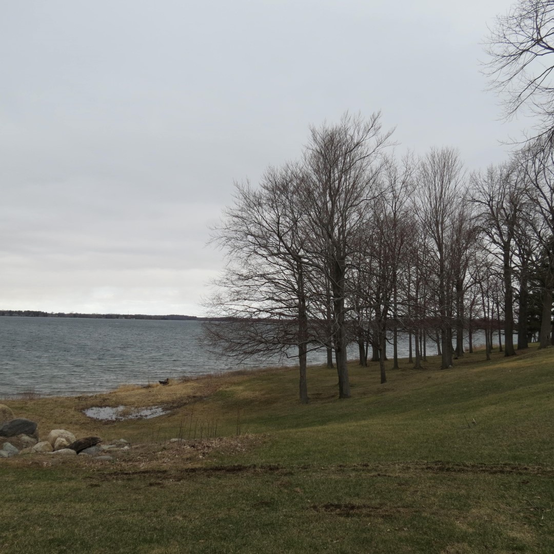 Western shelter in  Moses State Park near Massena NY  1 of 7 (#6263)