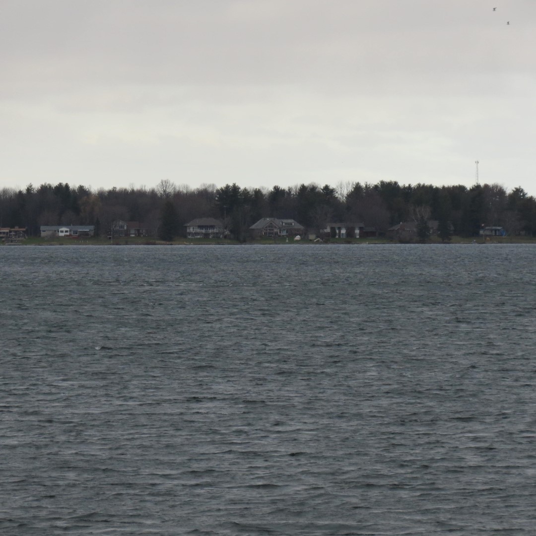 Western shelter in  Moses State Park near Massena NY  2 of 7 (#6264)