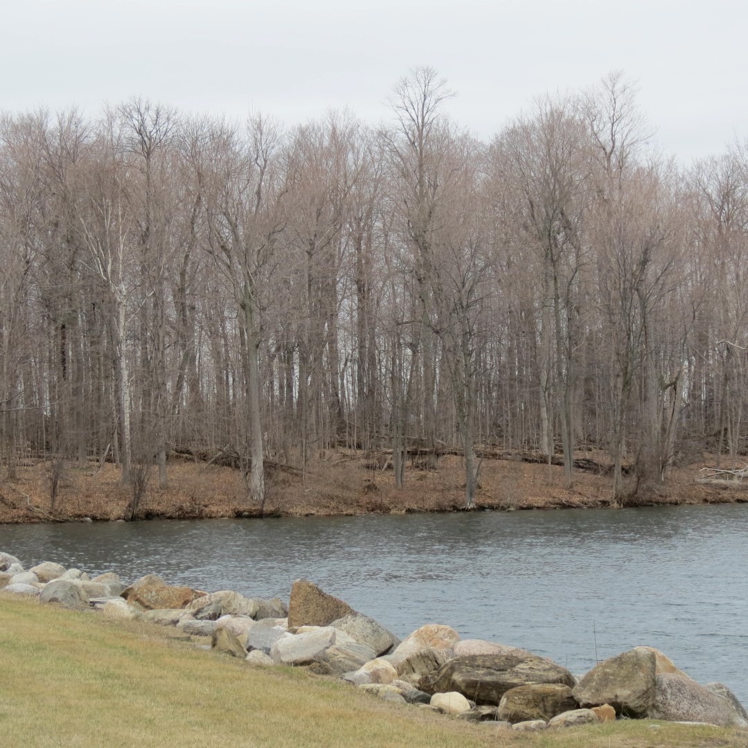 Western shelter in  Moses State Park near Massena NY  3 of 7 (#6265)