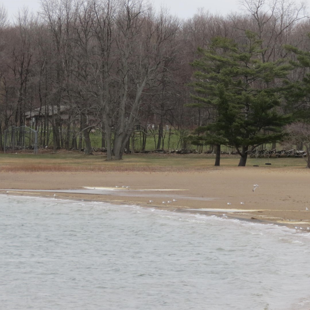 Western shelter in  Moses State Park near Massena NY  6 of 7 (#6268)