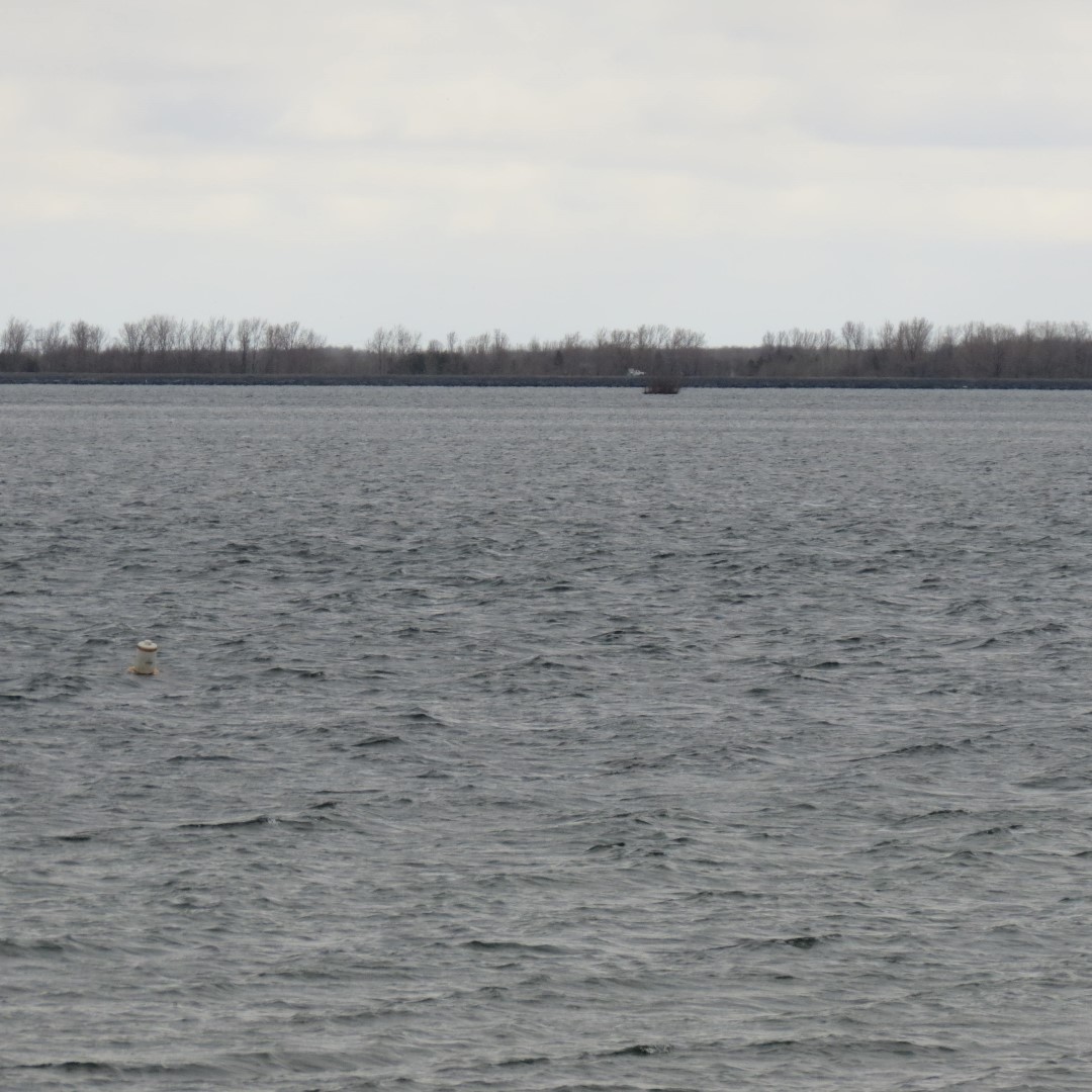 Western shelter in  Moses State Park near Massena NY  7 of 7 (#6269)