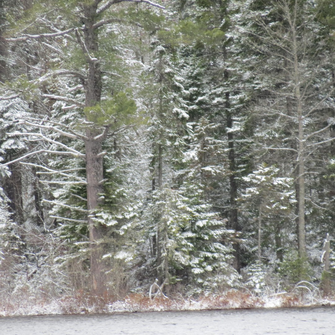 Roads and Sites driving to Saranac Lake NY  7 of 13 (#6282)