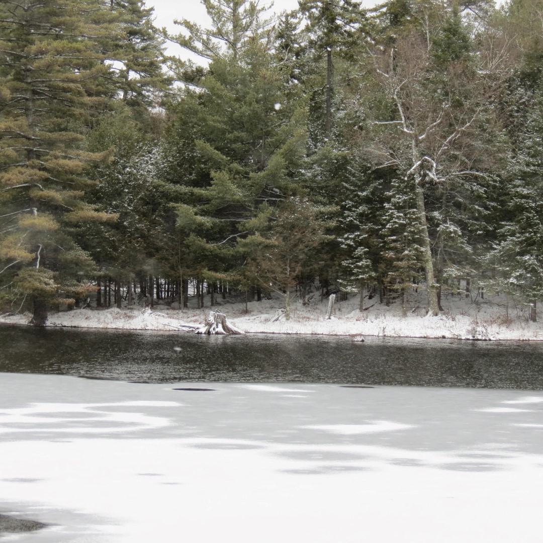 Church Pond in saranac Lake NY  2 of 3 (#6290)