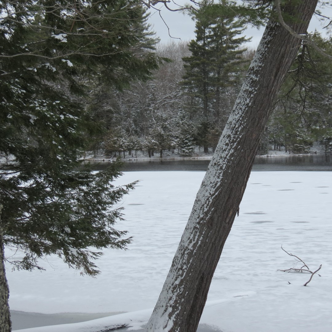 Church Pond in saranac Lake NY  3 of 3 (#6291)