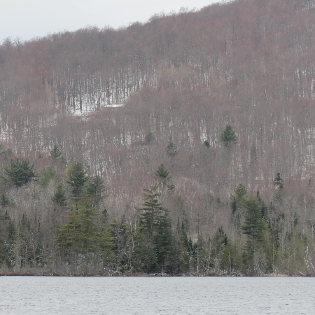 Driving to Lake Placid NY  1 of 2 (#6299)