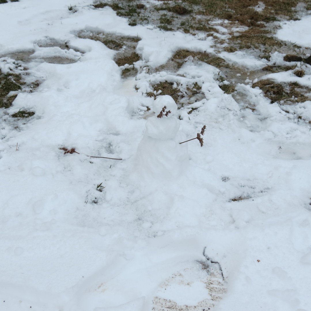 Six-inch tall snowman at High Gorge Falls near Wilmington and Lake Placid NY  1 of 1 (#6217)