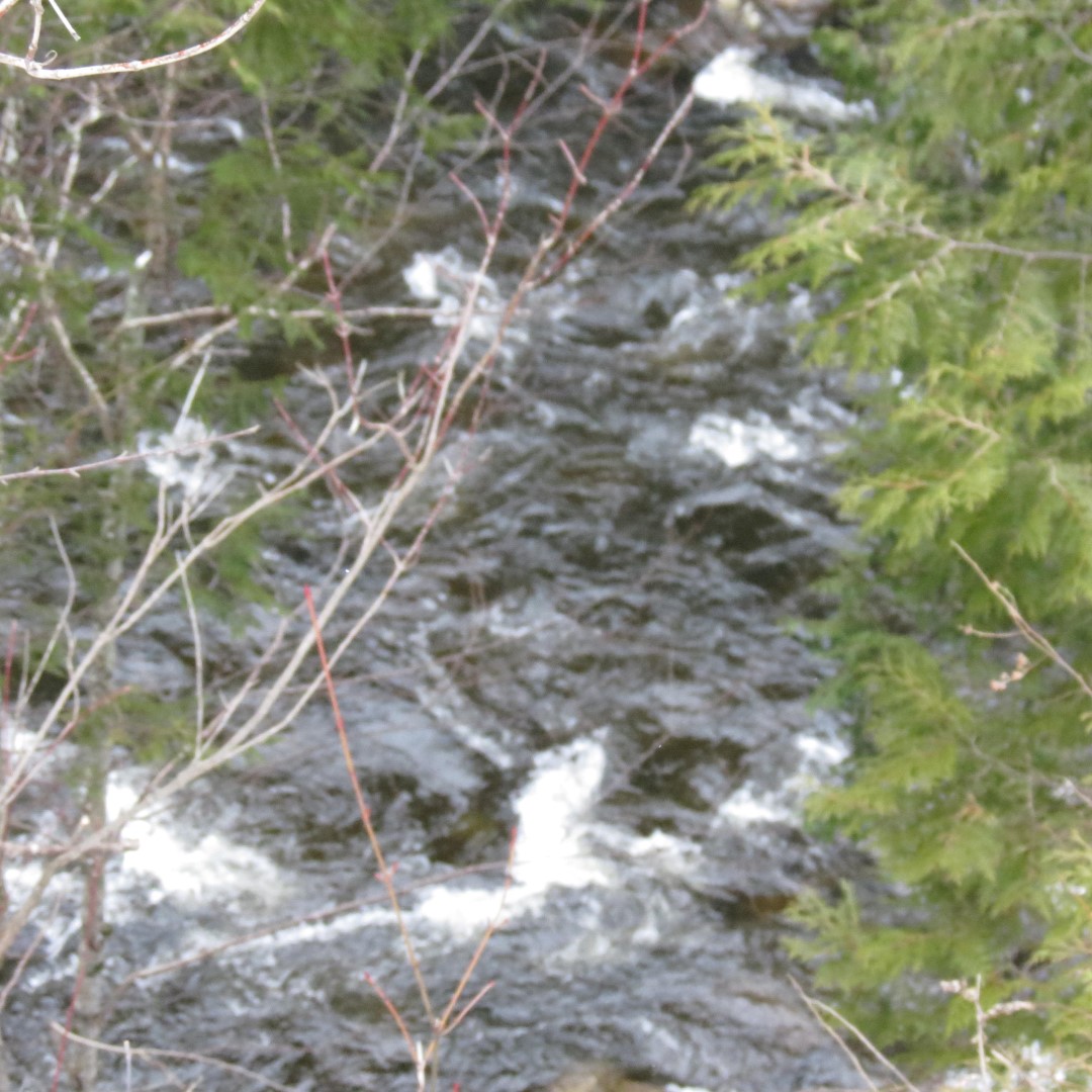 Drive between Lake Placid and High Gorge Falls near Wilmington and Lake Placid NY  3 of 16 (#6322)