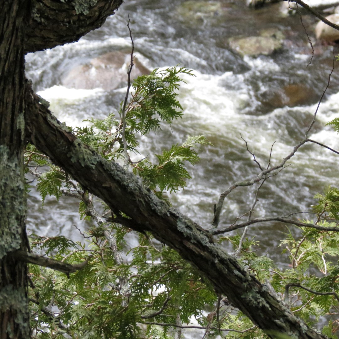 Drive between Lake Placid and High Gorge Falls near Wilmington and Lake Placid NY  6 of 16 (#6325)