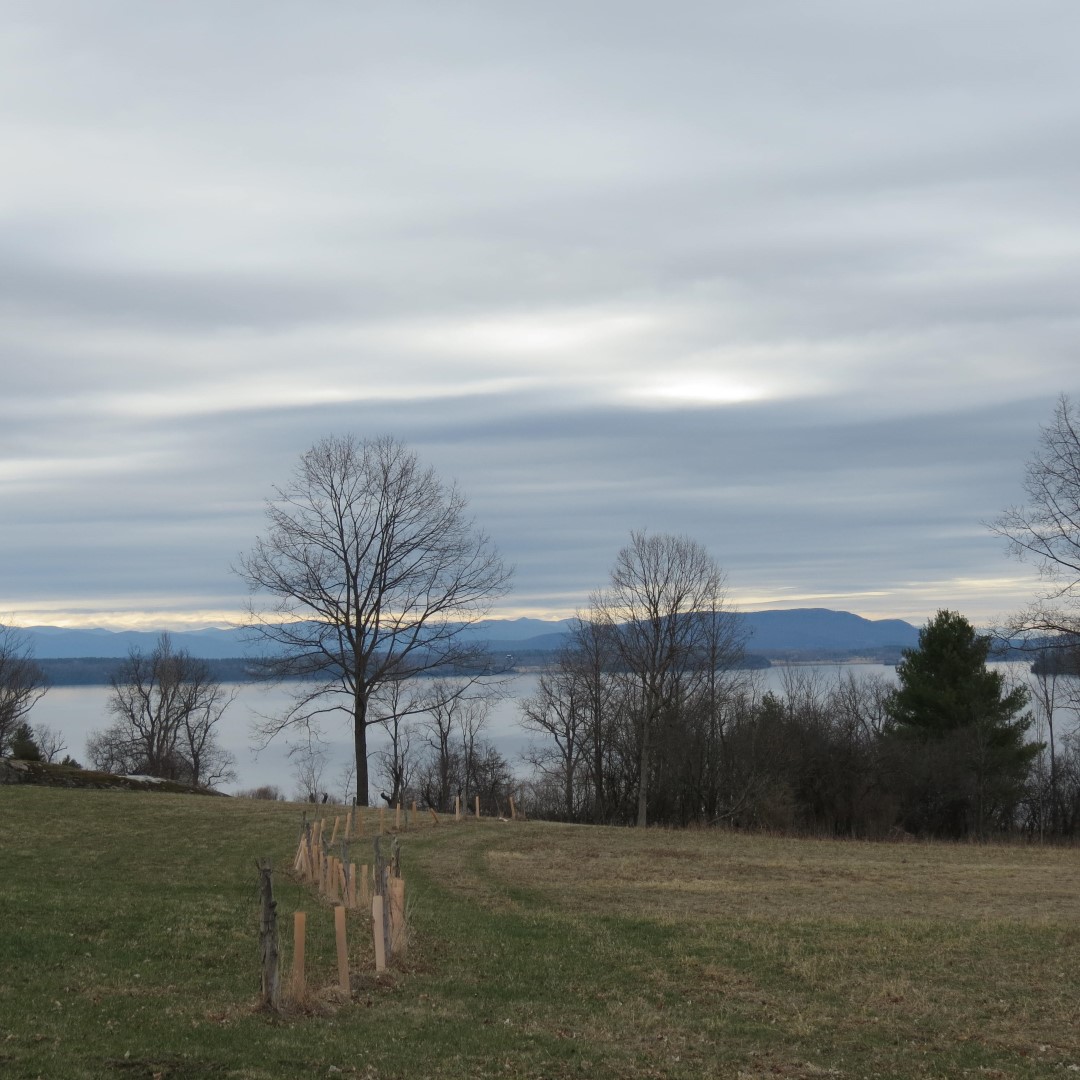 Lake Champlain at Westport NY  1 of 9 (#6356)