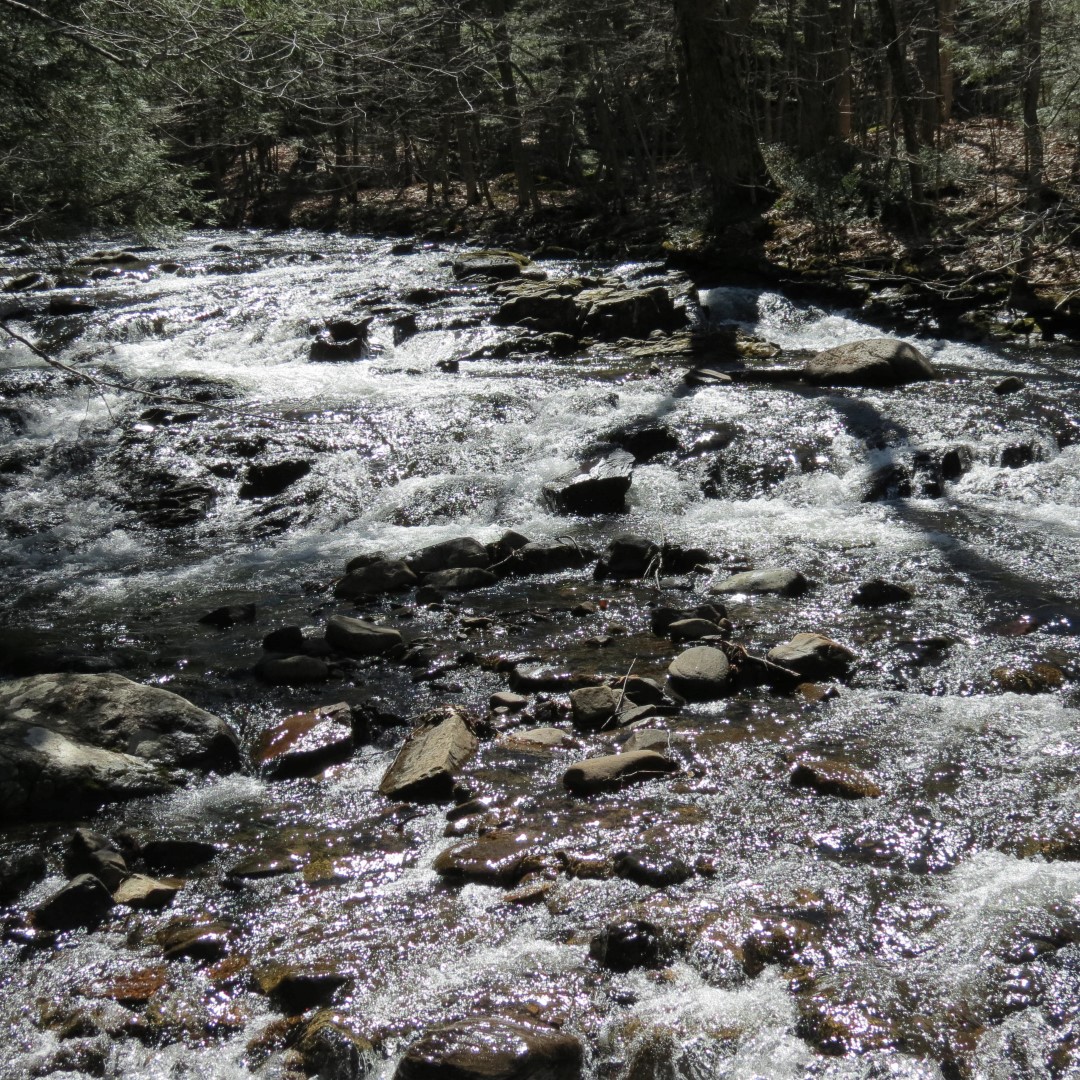 Stream along path to Lake George Shelving Rock NY  1 of 7 (#6384)