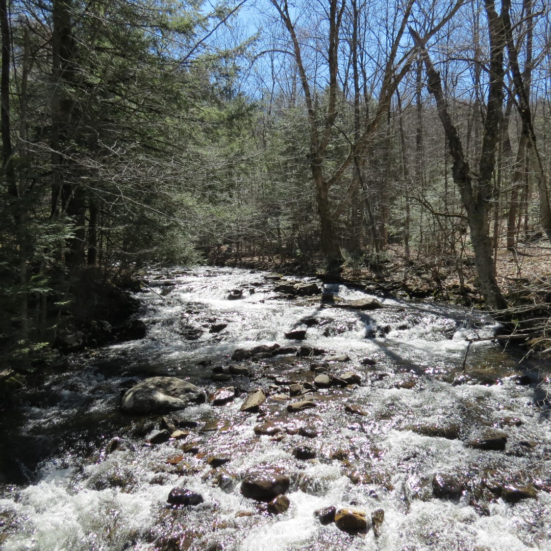 Stream along path to Lake George Shelving Rock NY  2 of 7 (#6385)