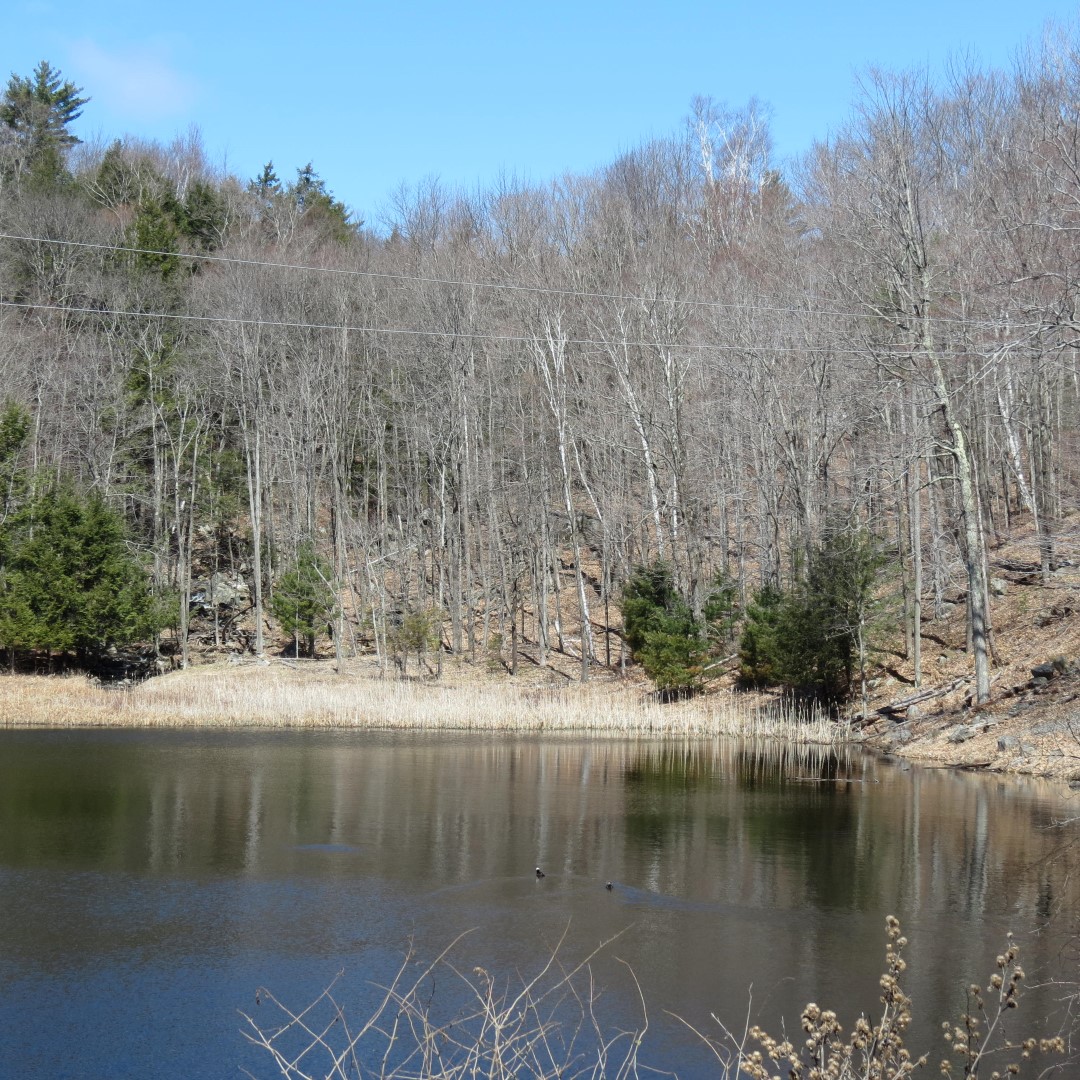 Lake alongside road leading to Lake George Shelving Rock NY area  2 of 2 (#6387)
