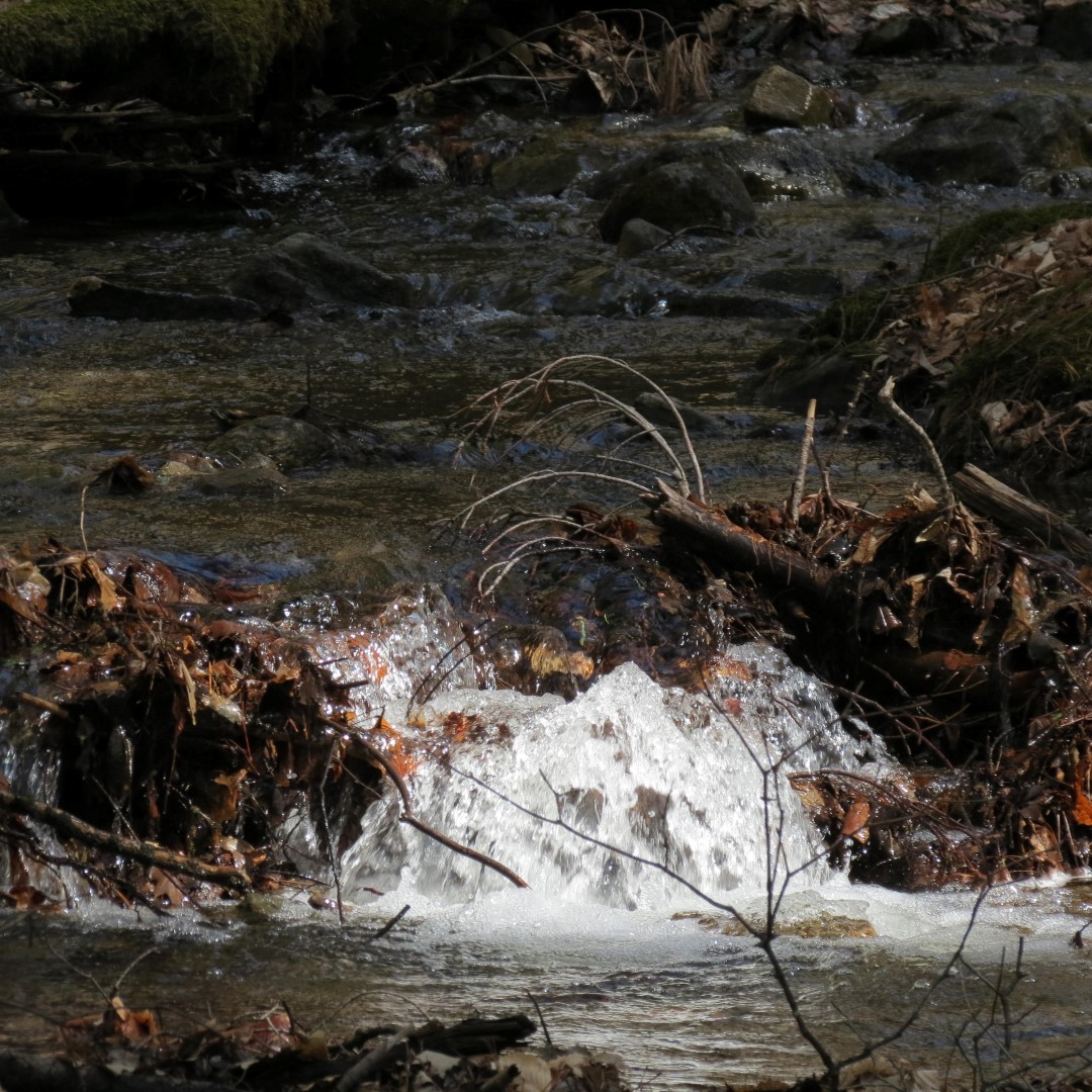 Stream along path to Lake George Shelving Rock NY  3 of 7 (#6388)