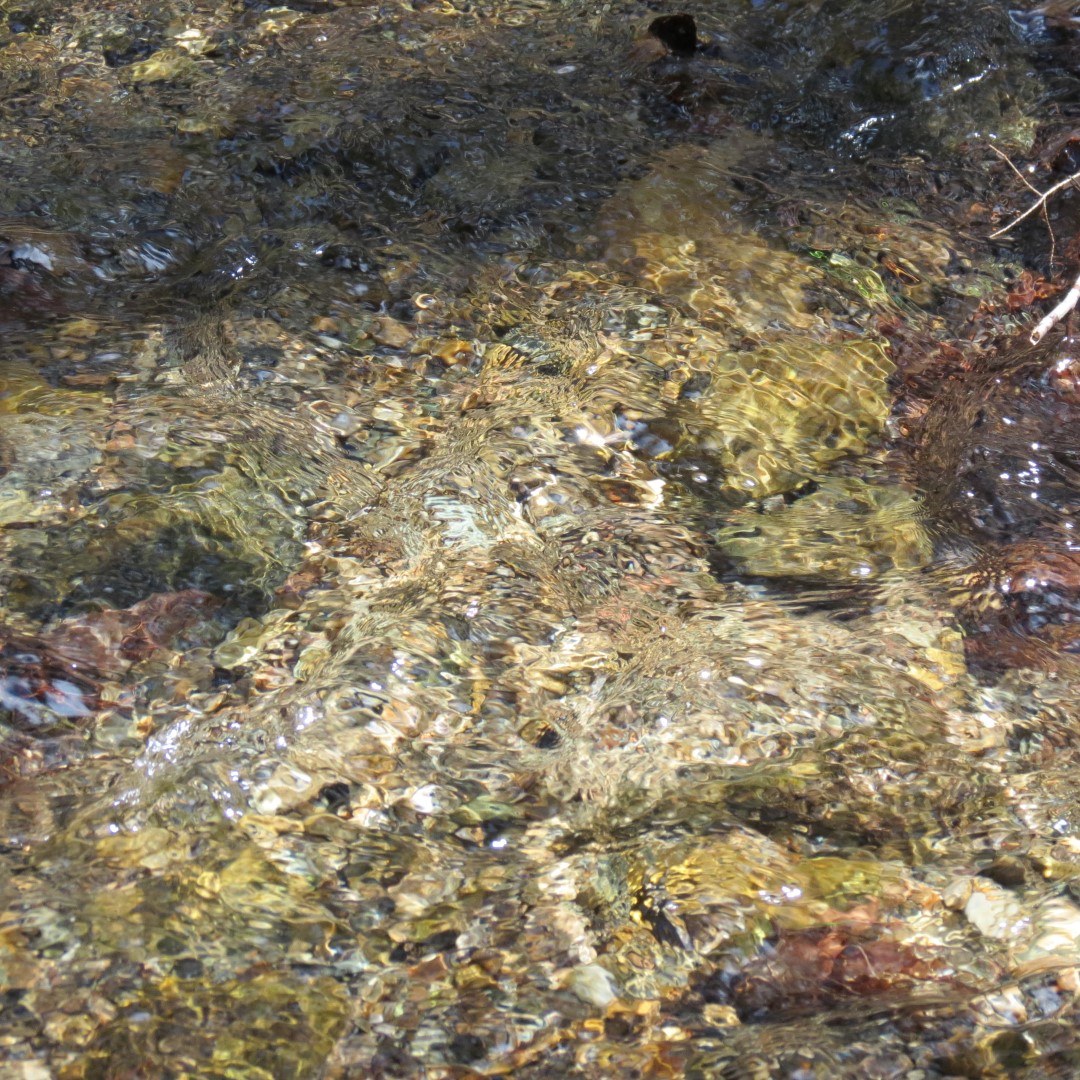 Stream along path to Lake George Shelving Rock NY  4 of 7 (#6389)