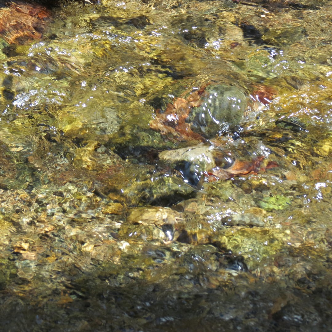 Stream along path to Lake George Shelving Rock NY  5 of 7 (#6390)