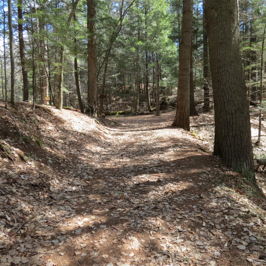 Walking trail leading to Lake George Shelving Rock NY  2 of 6 (#6392)