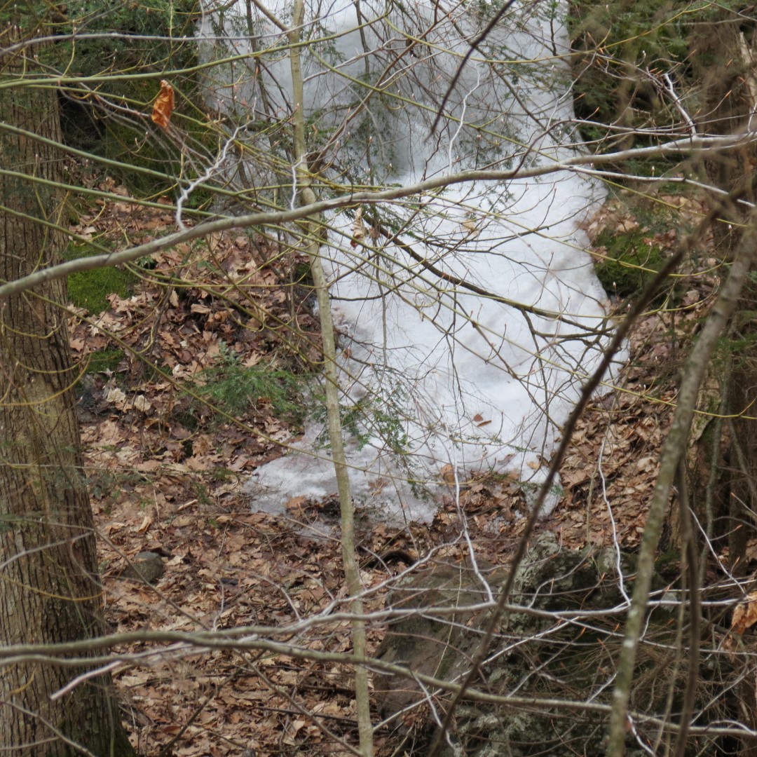 Walking trail leading to Lake George Shelving Rock NY  3 of 6 (#6393)