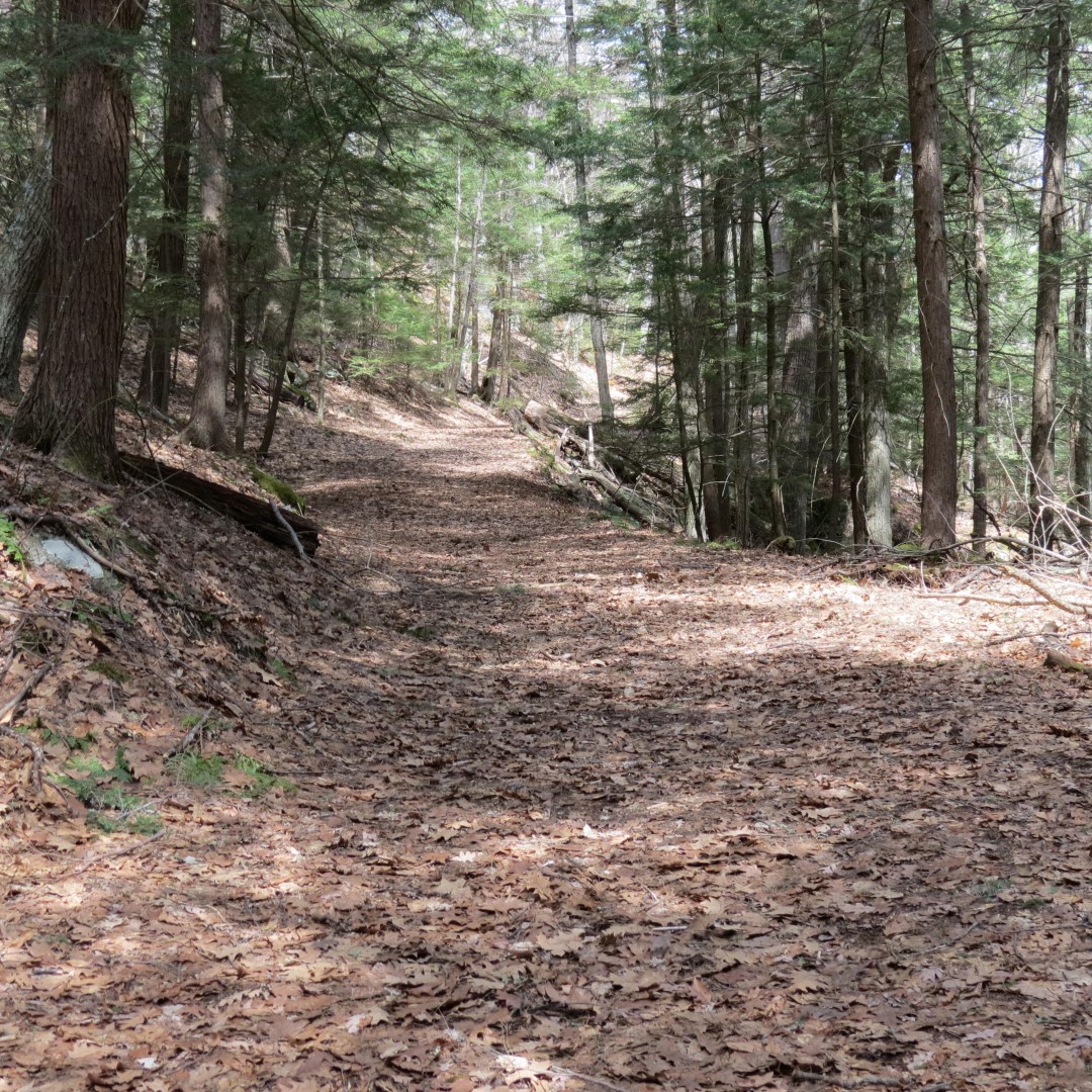 Walking trail leading to Lake George Shelving Rock NY  5 of 6 (#6395)