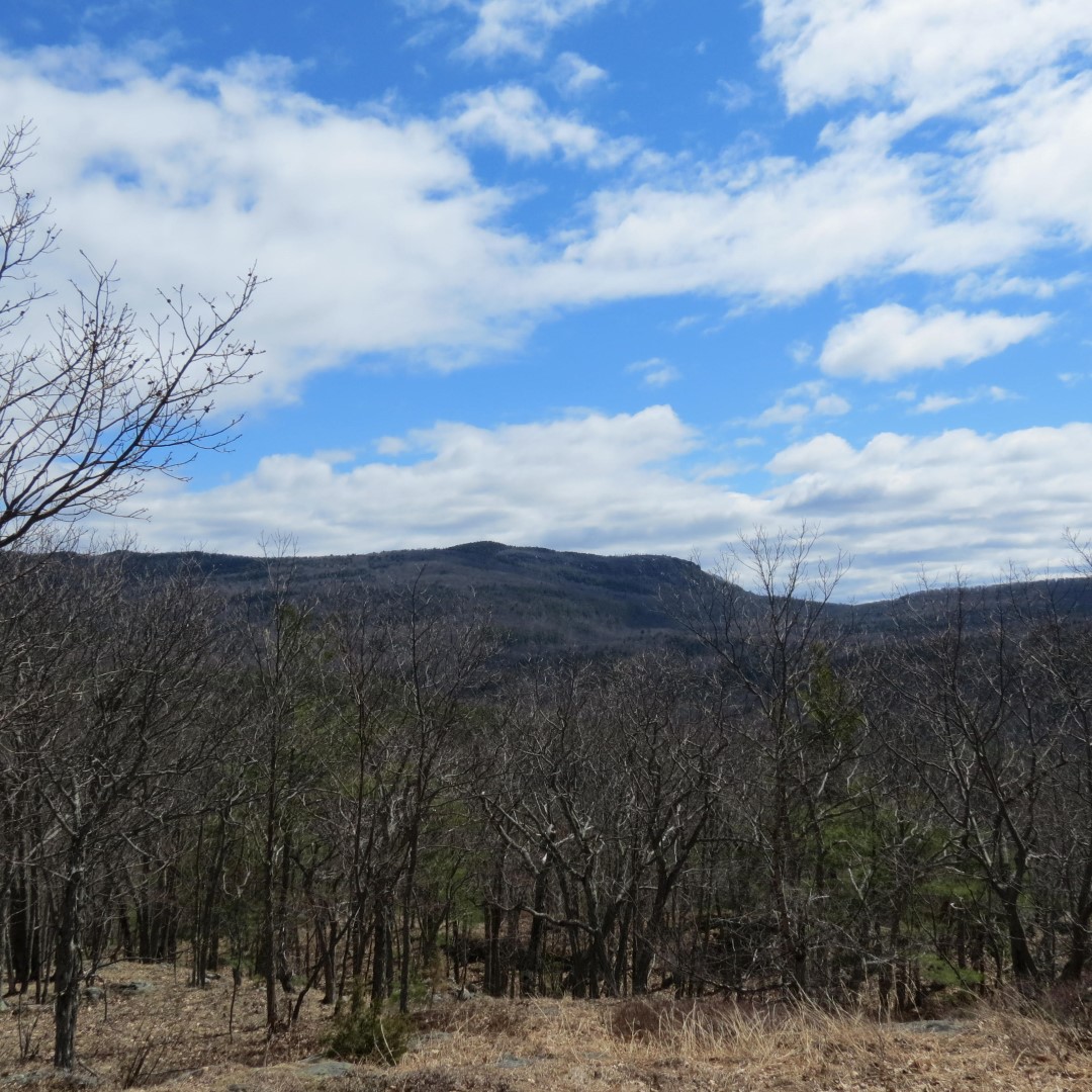 View from atop Lake George Shelving Rock NY  9 of 11 (#6404)