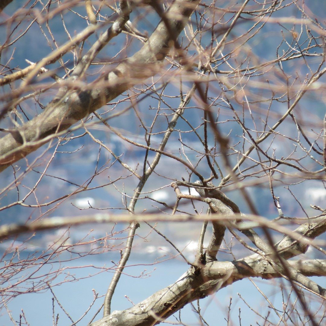 View from atop Lake George Shelving Rock NY 11 of 11 (#6406)