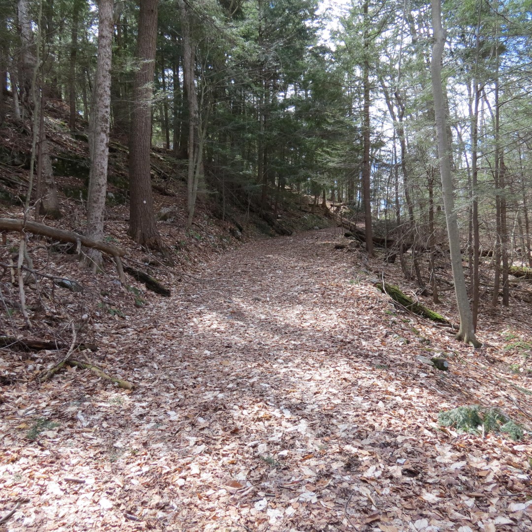 Walking trail leading to Lake George Shelving Rock NY  6 of 6 (#6407)