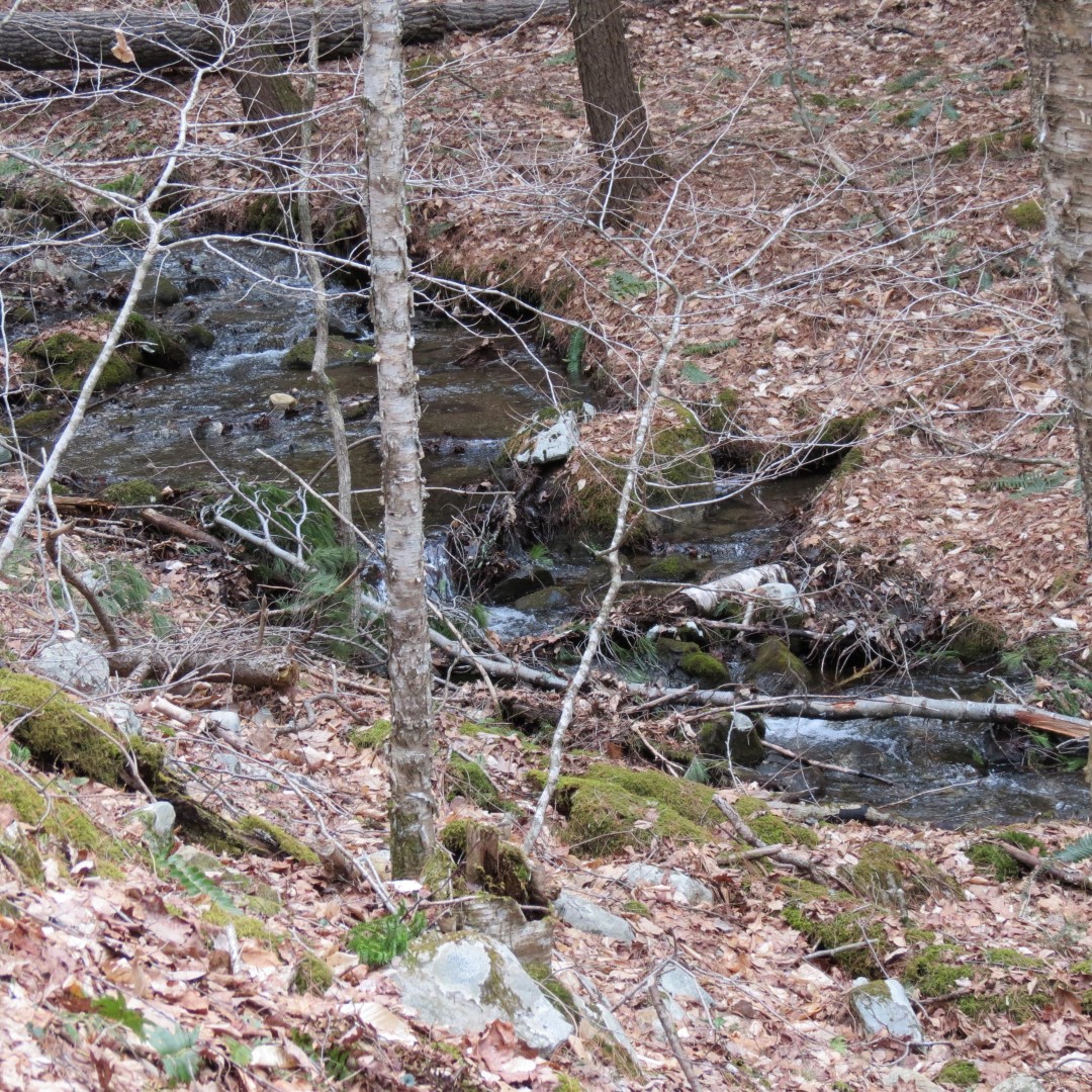 Stream along path to Lake George Shelving Rock NY  7 of 7 (#6409)